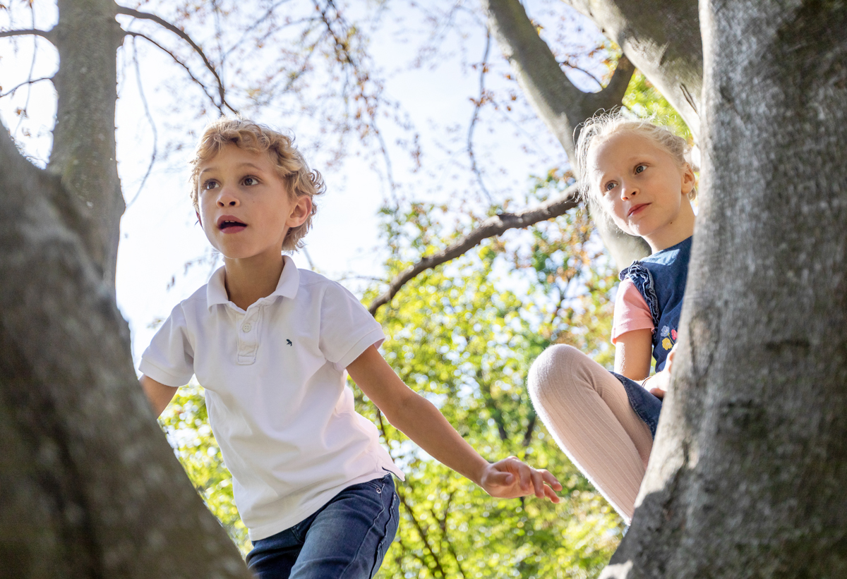 Kinderfotos im Baum